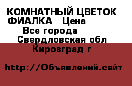 КОМНАТНЫЙ ЦВЕТОК -ФИАЛКА › Цена ­ 1 500 - Все города  »    . Свердловская обл.,Кировград г.